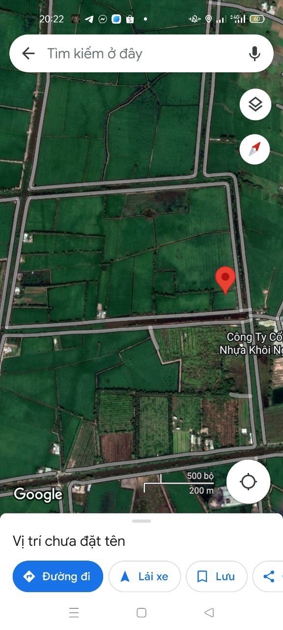 Cơ Hội Vàng! 103.000m2 Đất Nông Nghiệp Đức Hòa Long An - Đường DT823 - 100 Tỷ - Ảnh 2
